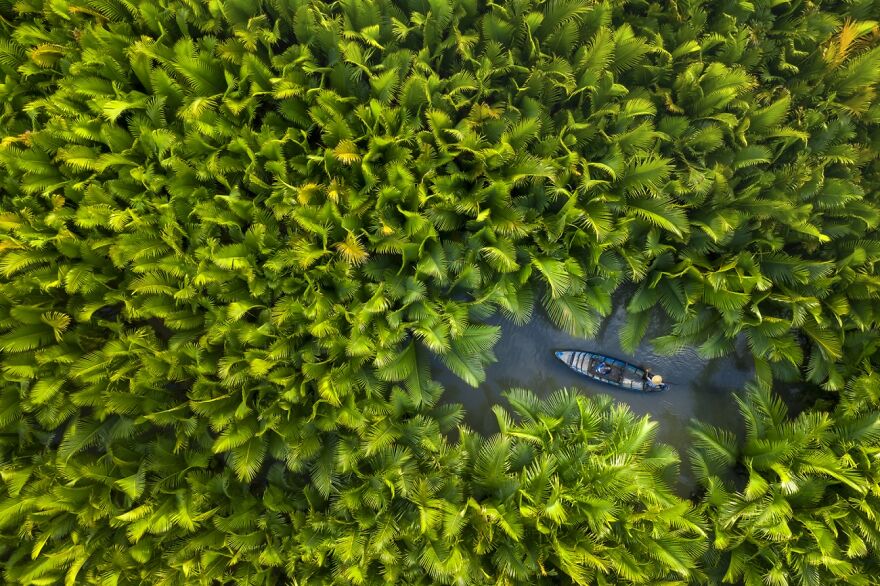 Nipa Palm Forest (Honorable Mention In Journeys & Adventures Category)