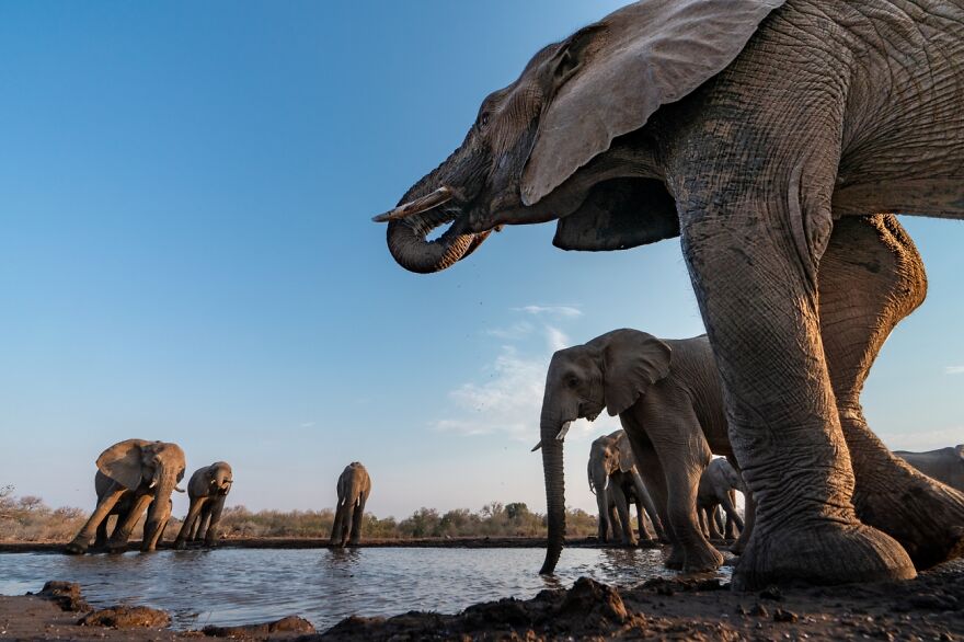 Sunset Drink (Remarkable Artwork In Under 20 Category)