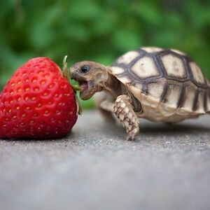 miriamfroebe308 avatar