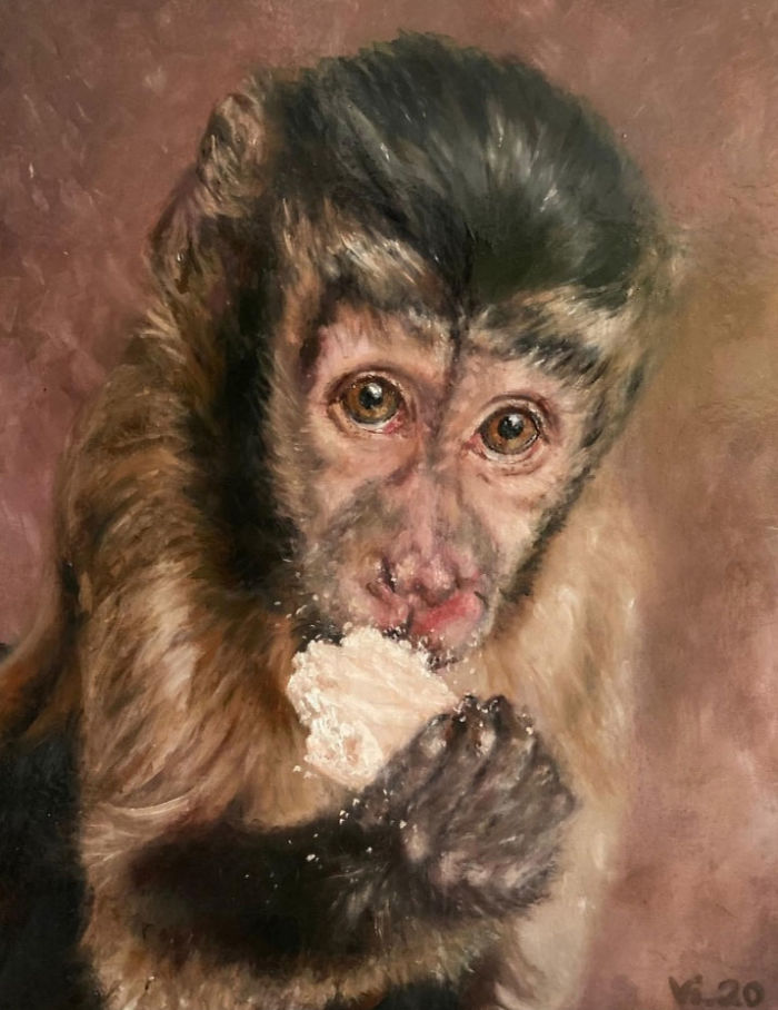 I Always Try To Capture Emotion In The Animals Eyes That I Paint