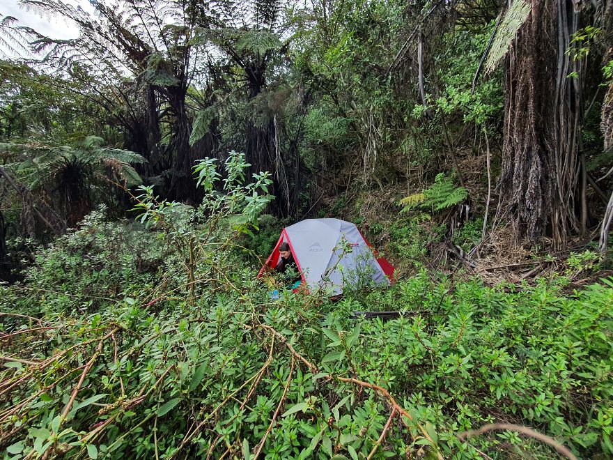 After Getting Stranded In New Zealand, We Decided To Walk, Cycle, And Canoe The Length Of The Country And We Are Halfway Through (32 Pics)