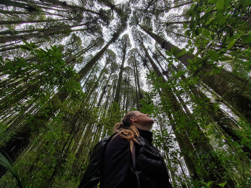 After Getting Stranded In New Zealand, We Decided To Walk, Cycle, And Canoe The Length Of The Country And We Are Halfway Through (32 Pics)
