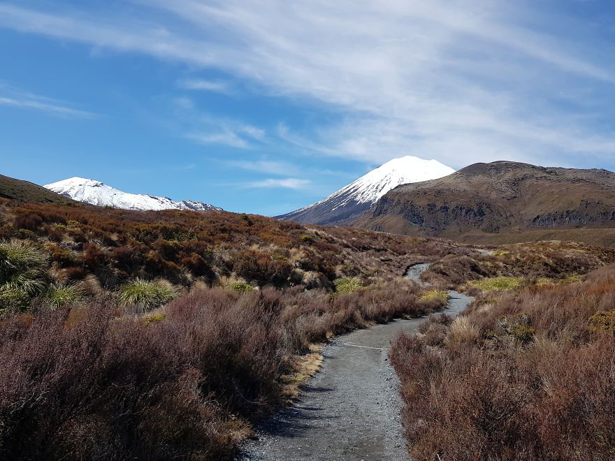 After Getting Stranded In New Zealand, We Decided To Walk, Cycle, And Canoe The Length Of The Country And We Are Halfway Through (32 Pics)