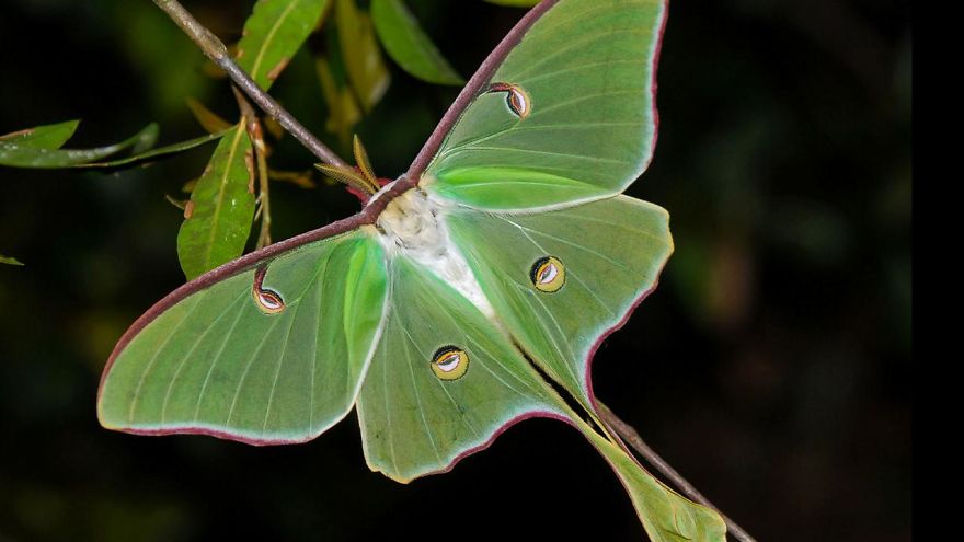 Weird And Disturbing Animal Facts