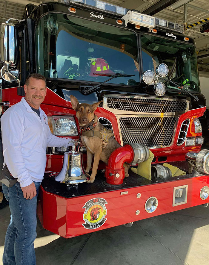 This Dog Was Found With A Heartbreaking Message In A Bottle On Her Collar