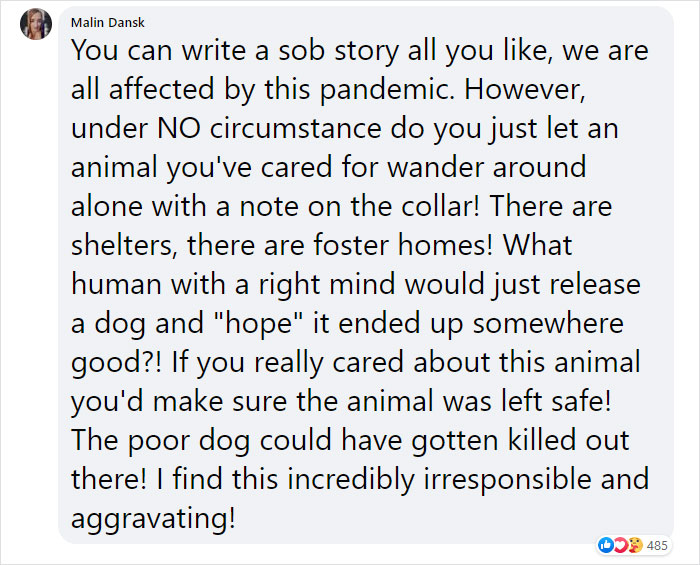 This Dog Was Found With A Heartbreaking Message In A Bottle On Her Collar