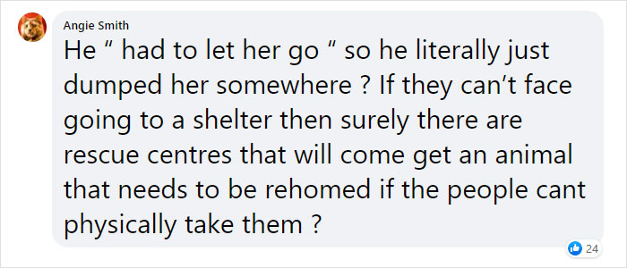 This Dog Was Found With A Heartbreaking Message In A Bottle On Her Collar