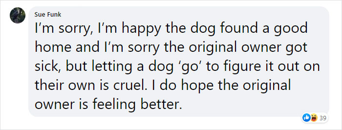 This Dog Was Found With A Heartbreaking Message In A Bottle On Her Collar