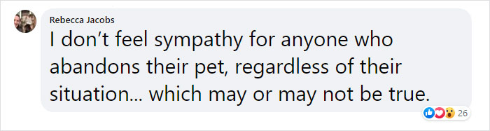 This Dog Was Found With A Heartbreaking Message In A Bottle On Her Collar This Dog Was Found With A Heartbreaking Message In A Bottle On Her Collar