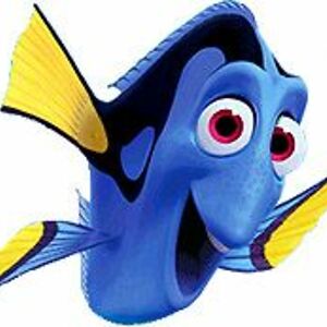 officialjob-p-d avatar