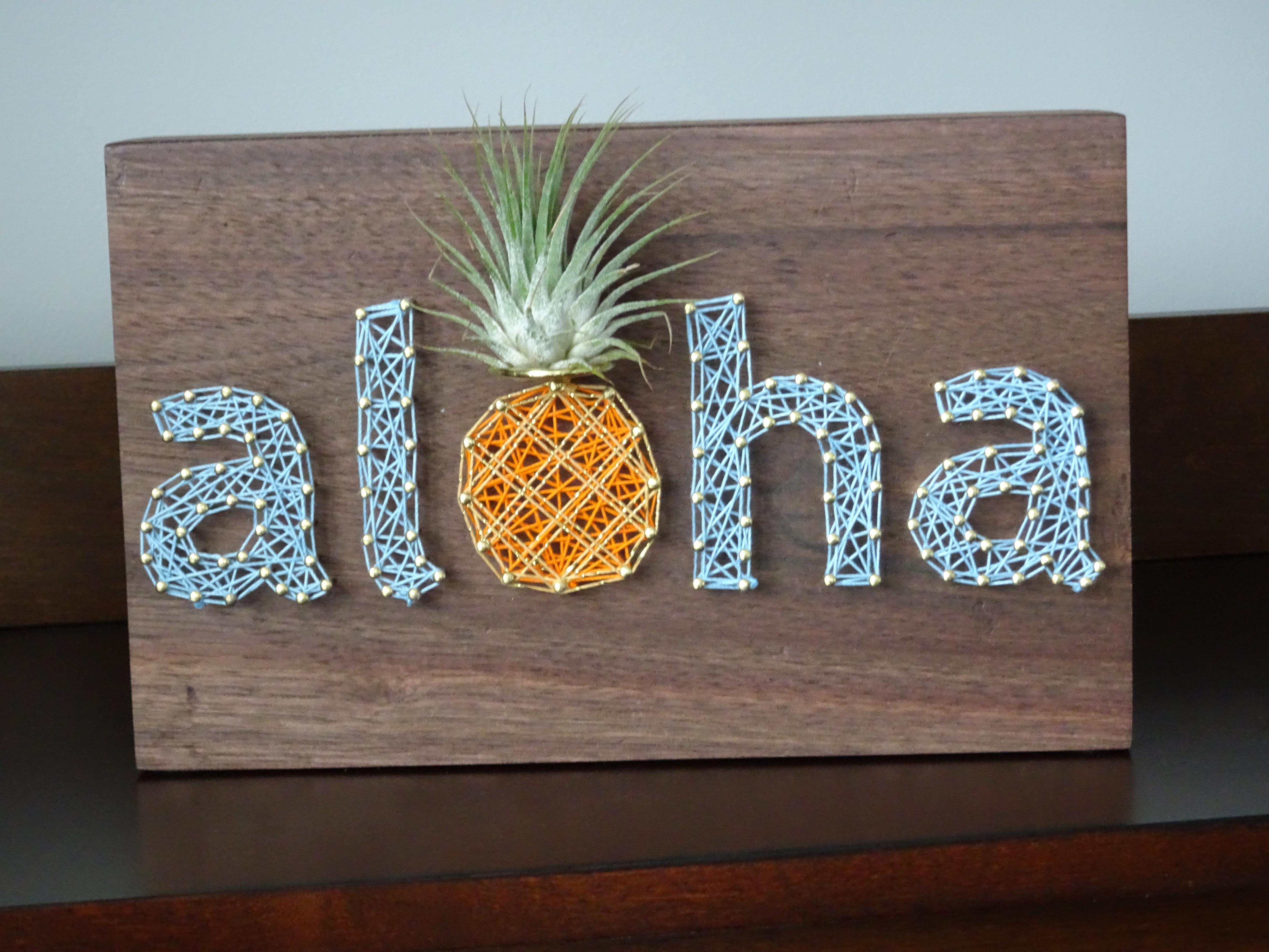 Freaking Adorable Air Plant Holders