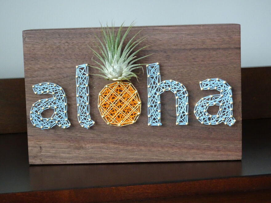 Freaking Adorable Air Plant Holders