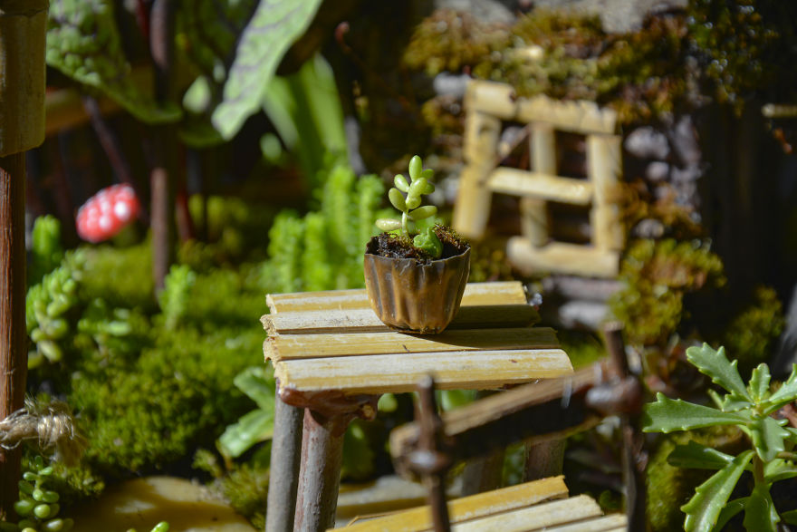 I Started Making Tiny Gardens At Home To Relax From My Everyday Job (28 Pics) I Started Making Tiny Gardens At Home To Relax From My Everyday Job (28 Pics)