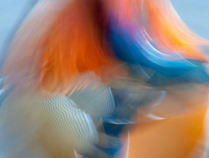 Creative Imagery: First Place, By James Hudson