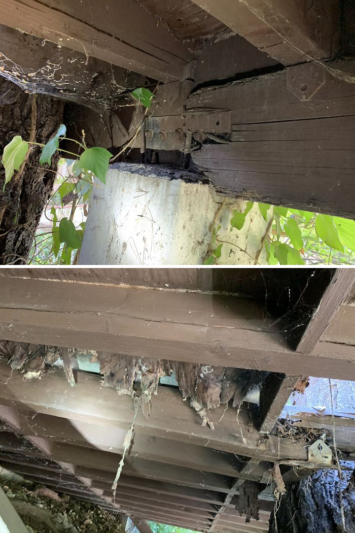 Bizarre-Structural-Inspections