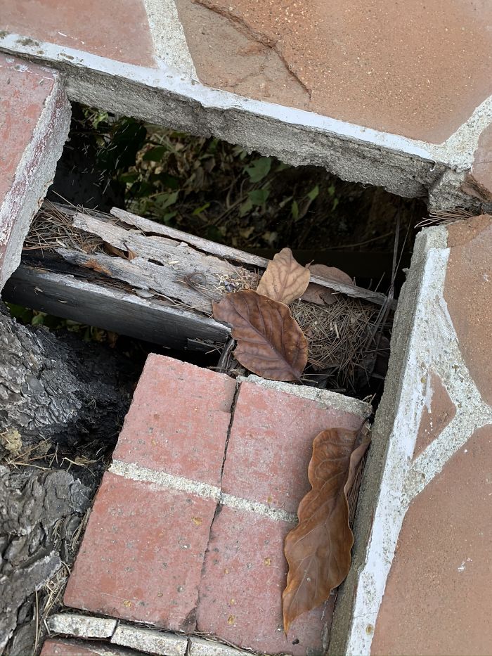 Bizarre-Structural-Inspections