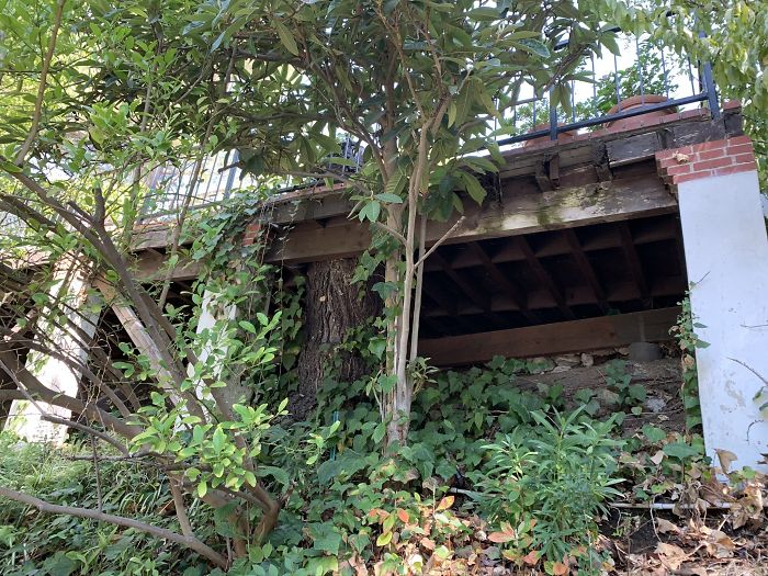 Bizarre-Structural-Inspections