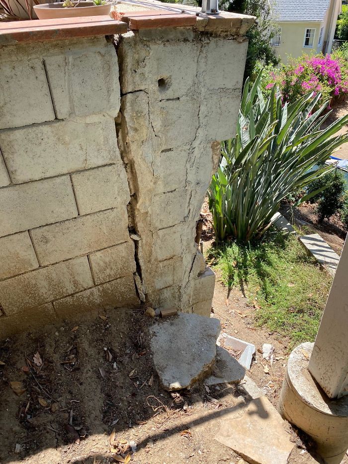 Bizarre-Structural-Inspections