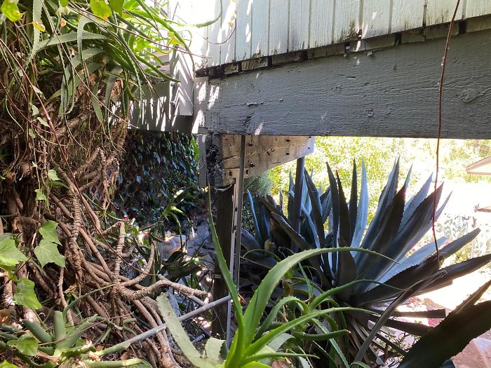 Bizarre-Structural-Inspections