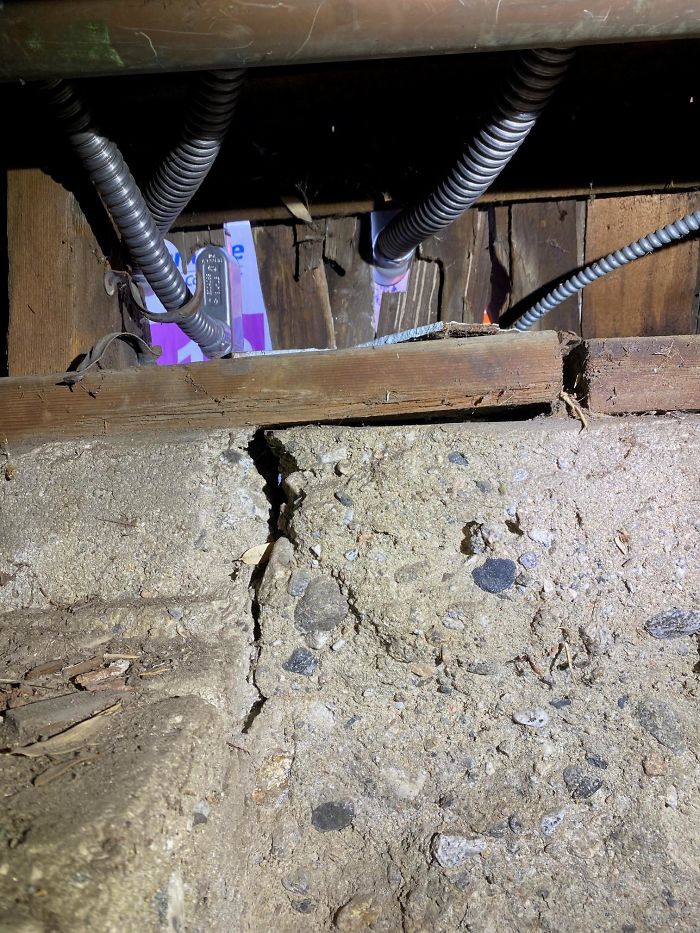 Bizarre-Structural-Inspections