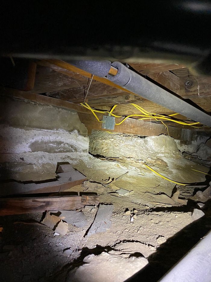 Bizarre-Structural-Inspections