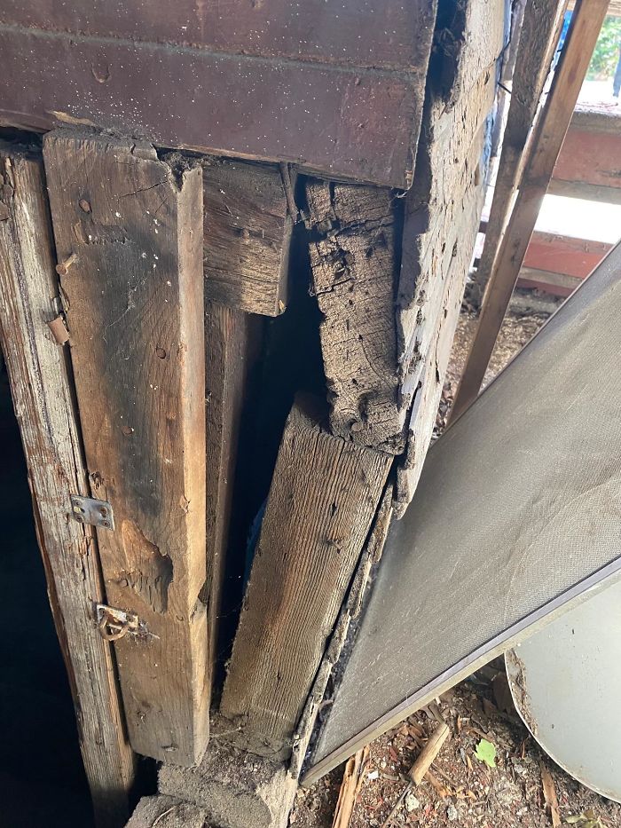 Bizarre-Structural-Inspections