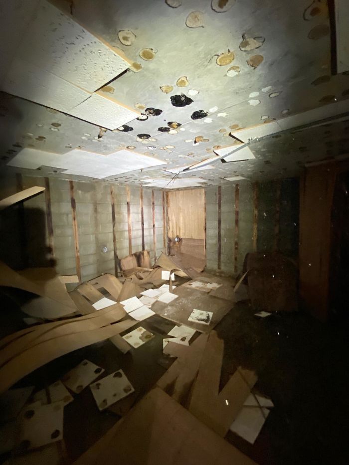 Bizarre-Structural-Inspections