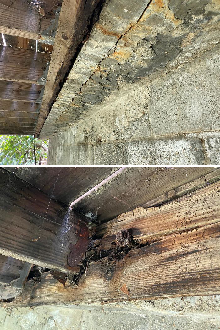 Bizarre-Structural-Inspections