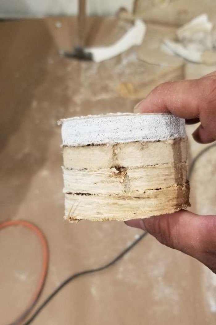 Bizarre-Structural-Inspections