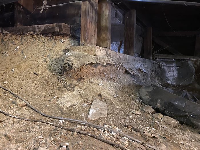 Bizarre-Structural-Inspections