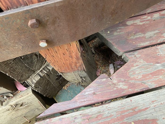 Bizarre-Structural-Inspections