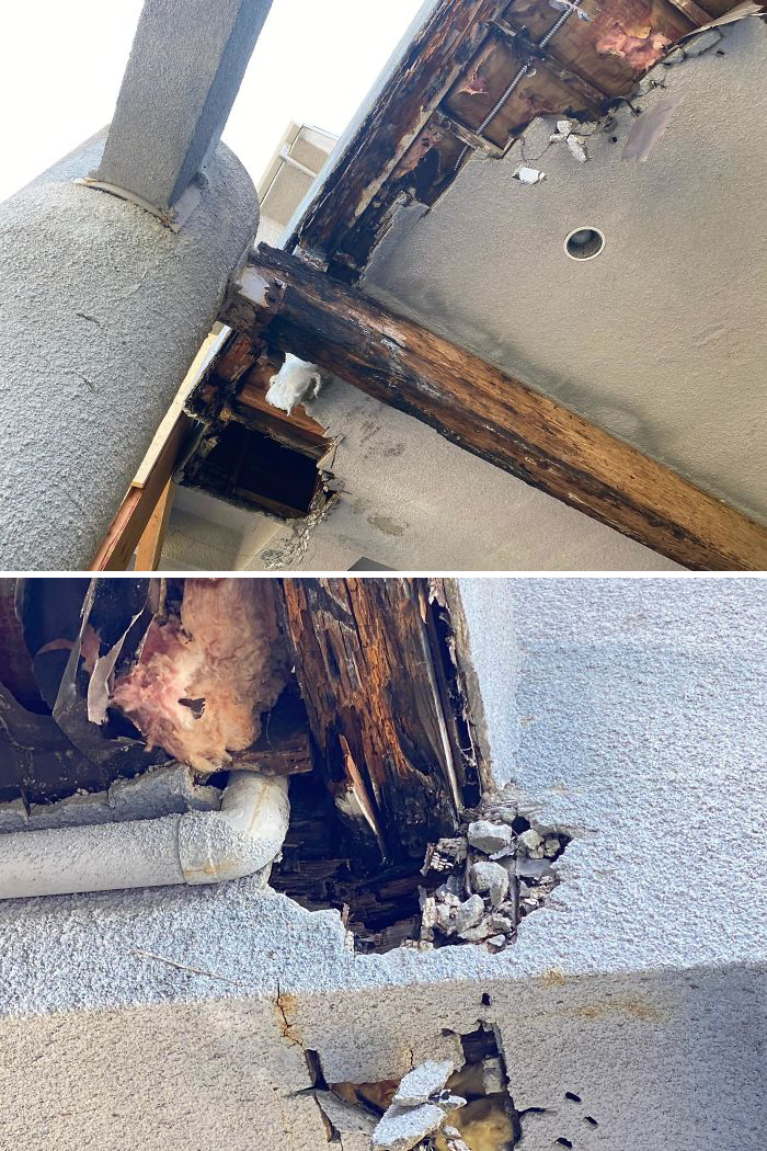 Bizarre-Structural-Inspections