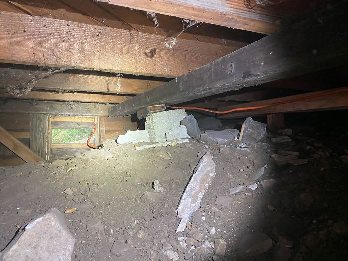 Bizarre-Structural-Inspections