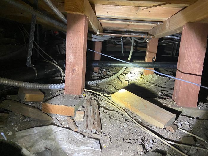 Bizarre-Structural-Inspections