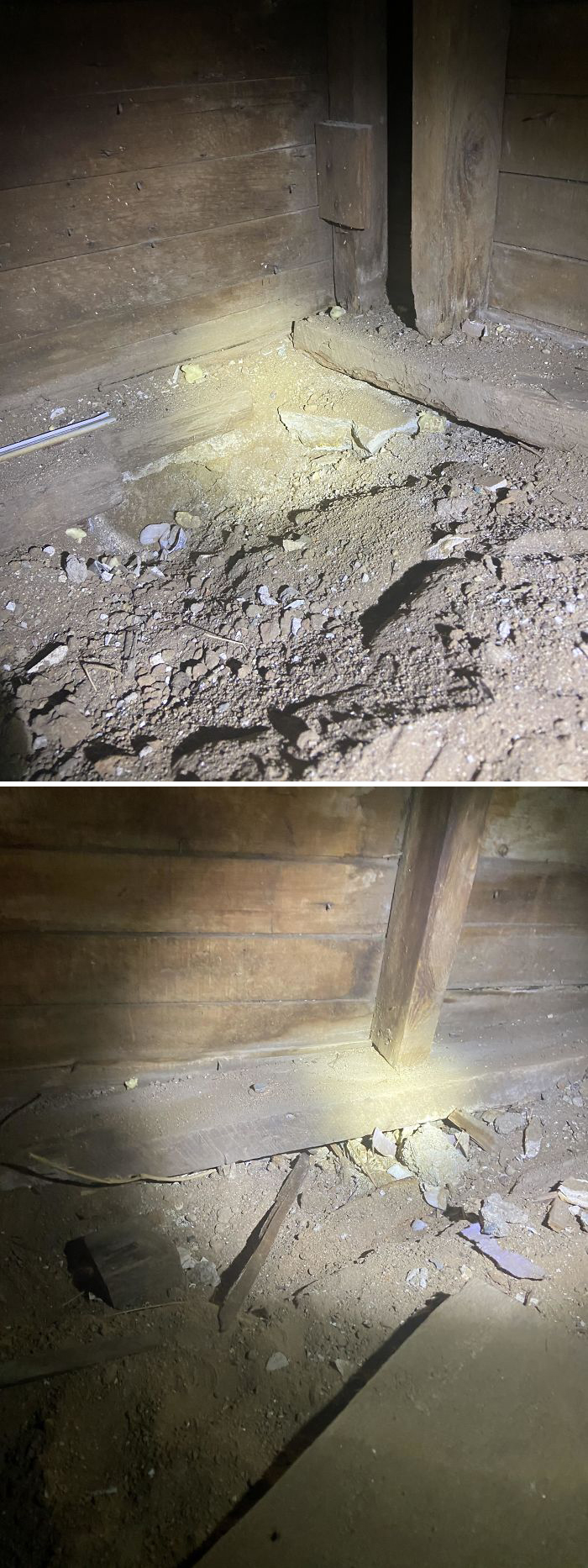 Bizarre-Structural-Inspections