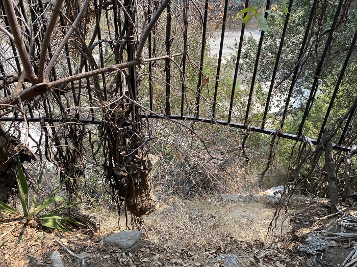 Bizarre-Structural-Inspections