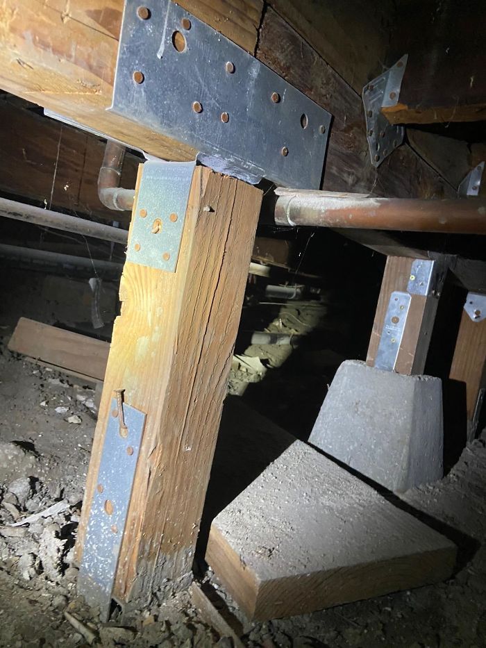 Bizarre-Structural-Inspections