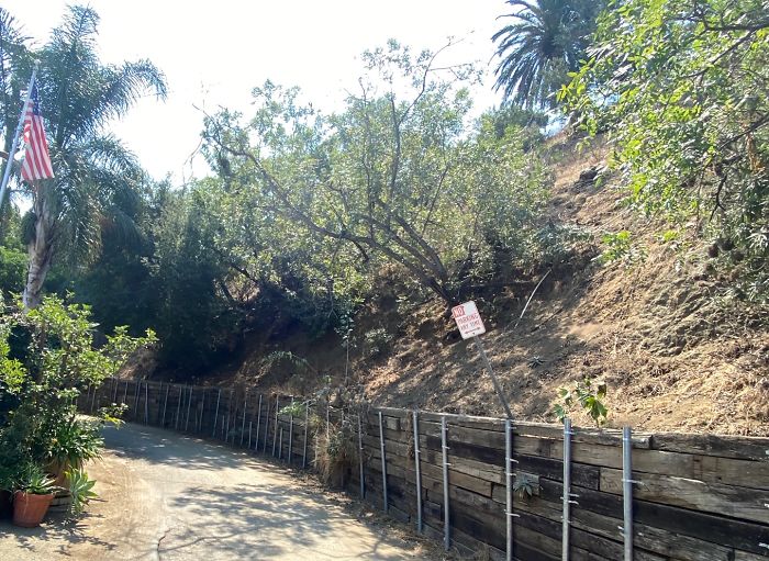 Bizarre-Structural-Inspections