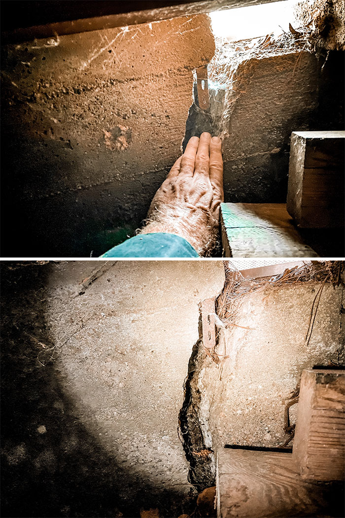 Bizarre-Structural-Inspections