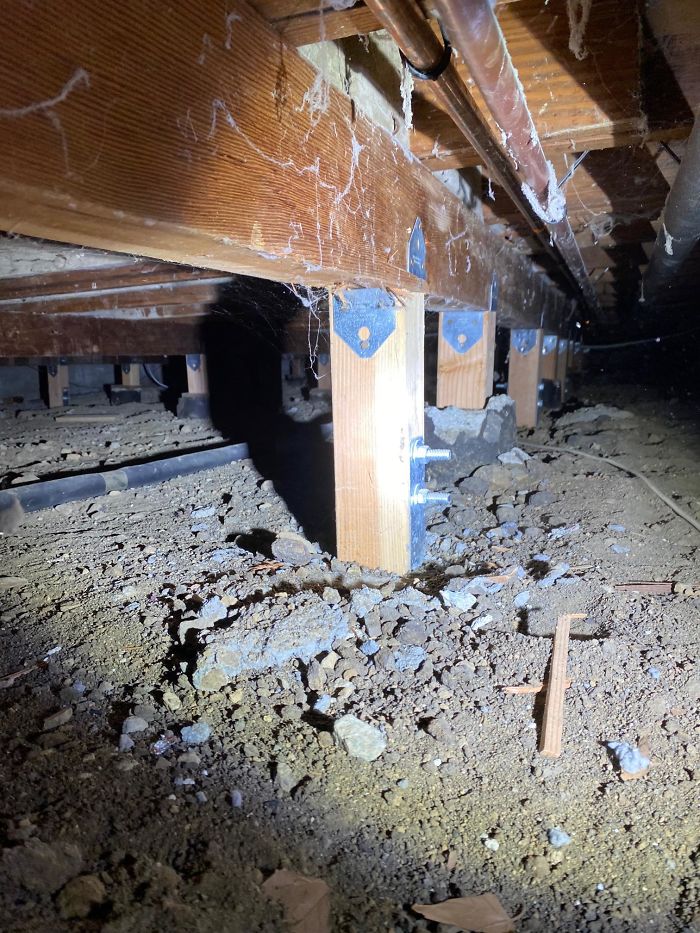 Bizarre-Structural-Inspections