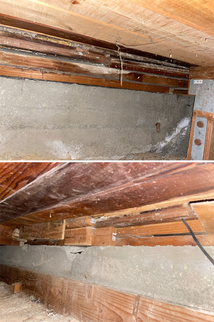 Bizarre-Structural-Inspections