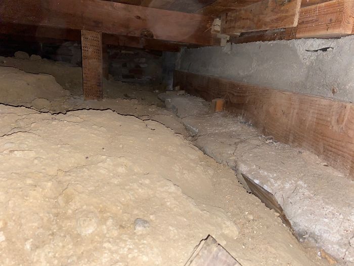 Bizarre-Structural-Inspections