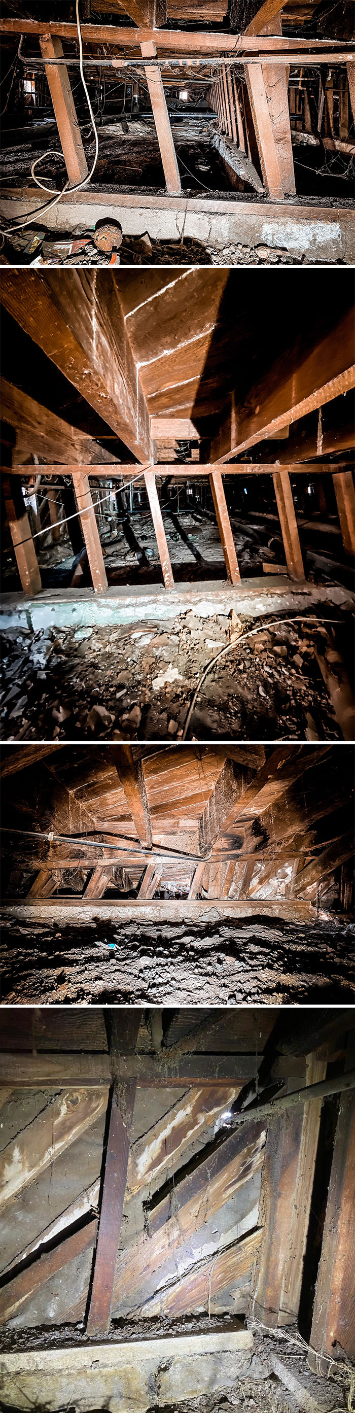 Bizarre-Structural-Inspections