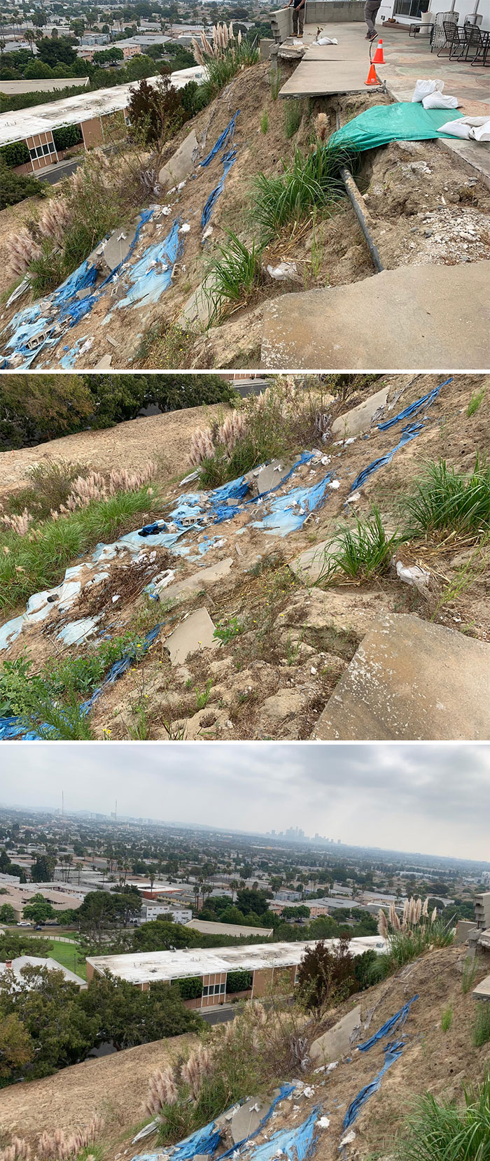 Bizarre-Structural-Inspections