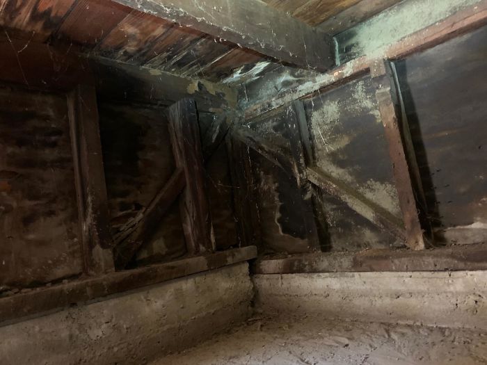 Bizarre-Structural-Inspections