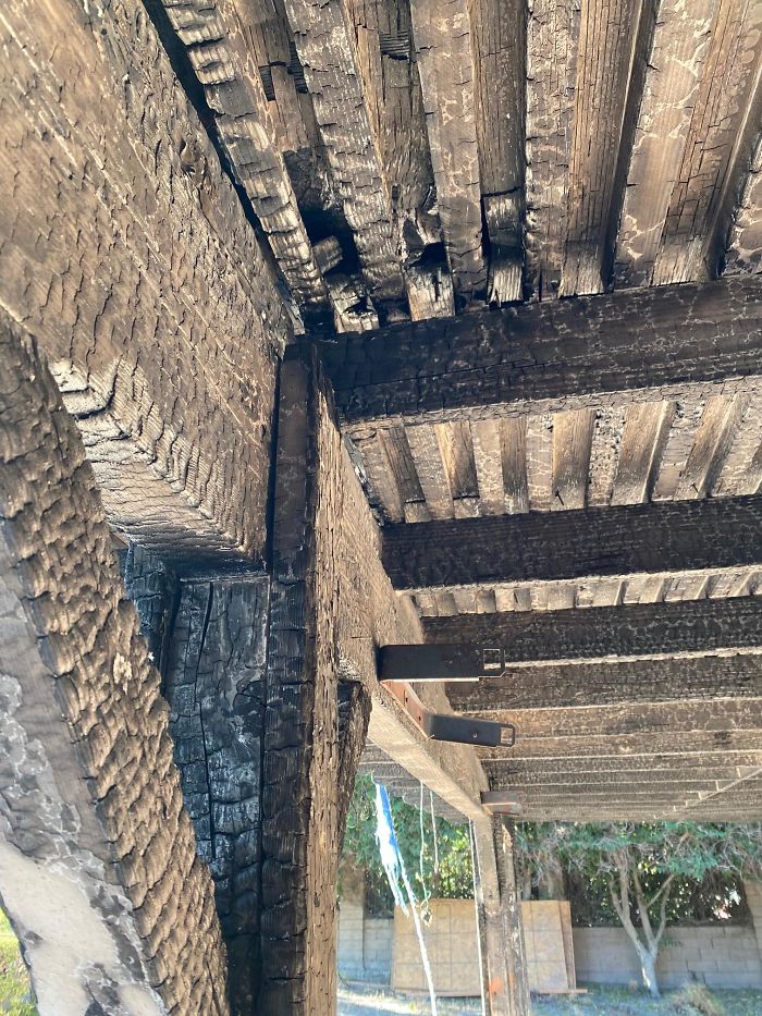 Bizarre-Structural-Inspections