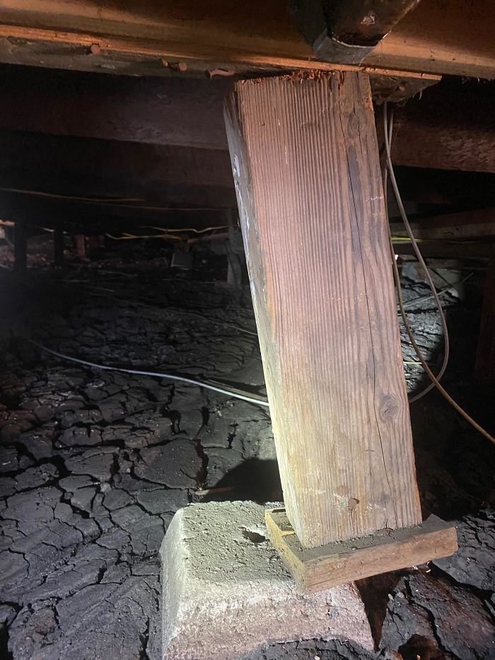 Bizarre-Structural-Inspections