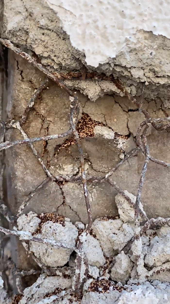 Bizarre-Structural-Inspections