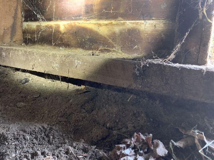 Bizarre-Structural-Inspections