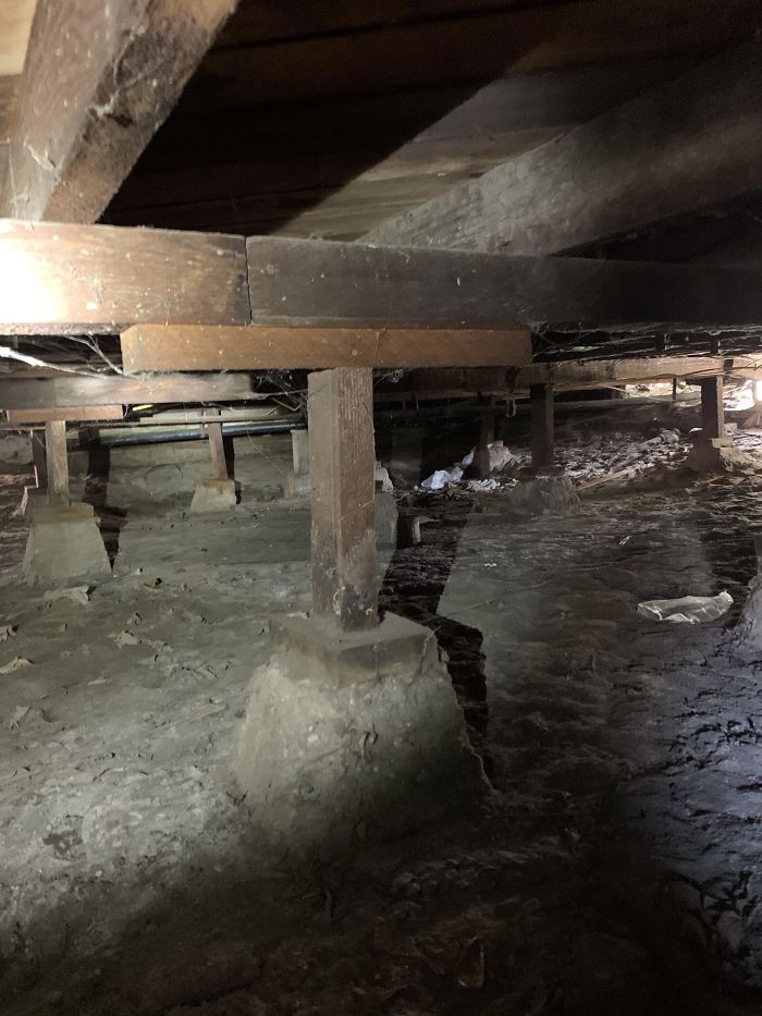 Bizarre-Structural-Inspections